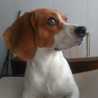 Yaiza 