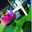 susilawati -