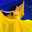 🌺Svitlana Shelest 💙💛🇺🇦