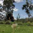 Paty
