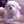 eline