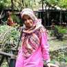 Dewi Harun Dewi Harun