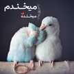  تک ستاره بهشت