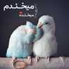 تک ستاره بهشت تک ستاره بهشت