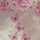 Heba Badr Mohamed Heba Badr Mohamed