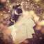 Heba Ahmed