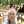 Arnidah