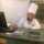 Fatouh Alshaboury Fatouh Alshaboury