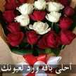  ناهدة