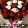  ناهدة