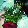 Saga Mayar