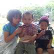suci adryan