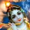 shilpa bh