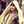 Selva Queen