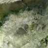 iye