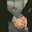 yousra yousra