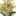 Sousou