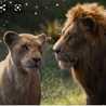 King Lion