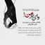 shaho hoseini