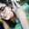 Nicol Awnyat Nicol Awnyat