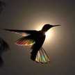 Ser Libre
