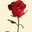 MD. SUMON AHMED