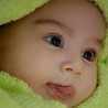 missha2311 missha2311
