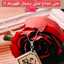 Chouchou la rose