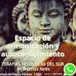 TERAPIAS HOLISTICAS DEL SUR