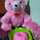 miecell (momy cella) miecell (momy cella)