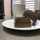 Anastasiia Anastasiia