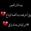 علي ع قسيم الجنه والنار