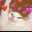 Rahaf