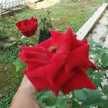 Ny.saputra