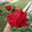 Ny.saputra