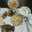 Indrani cooks