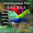 Brenda Recio