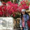 Yuliana Hartono