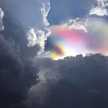 rawan