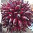 Recetas sencillas