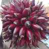Recetas sencillas