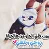  rasha 