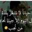 ام سجى