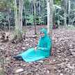 desi aslia