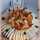 les gourmandises de nanou les gourmandises de nanou