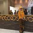 Syah Putri