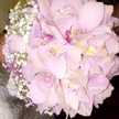 Fatima_alsaffar96