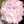 Fatima_alsaffar96