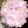 Fatima_alsaffar96 Fatima_alsaffar96