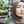 Ranee